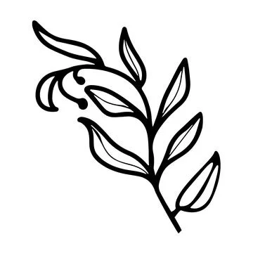 Vector hand-drawn silhouette of a branch with leaves. Stock Illustration