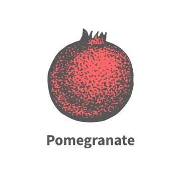 Vector hand-drawn single juicy ripe pomegranate Stock Illustration