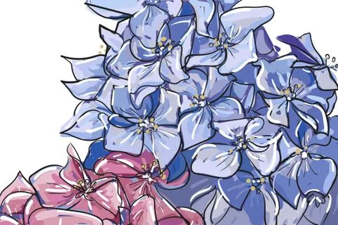 Vector hand drawn sketch abstract outline Hydrangea or Hortensia flower bunch 스톡 일러스트