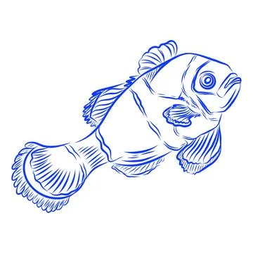 Vector hand drawn sketch of a beautiful fish, sea creature, blue line art Stock Illustration