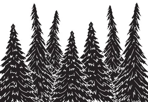 Vector hand drawn sketch black spruce forest Stock Illustration