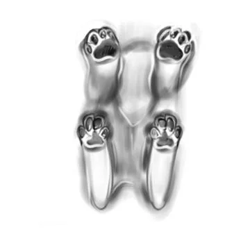 Vector hand drawn sketch of cat paws Stock Illustration