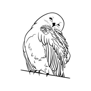 Vector hand drawn sketch of a cute sitting owl, doodle style with black lines Stock Illustration