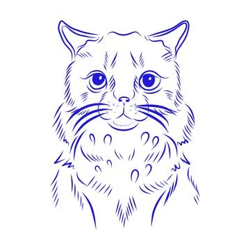 Vector hand drawn sketch of cute cat with blue line art Illustration