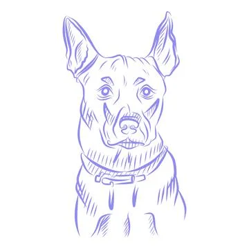 Vector hand drawn sketch, dog portrait, purple line art Stock Illustration