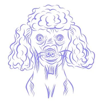 Vector hand drawn sketch, dog portrait, purple line art Stock Illustration