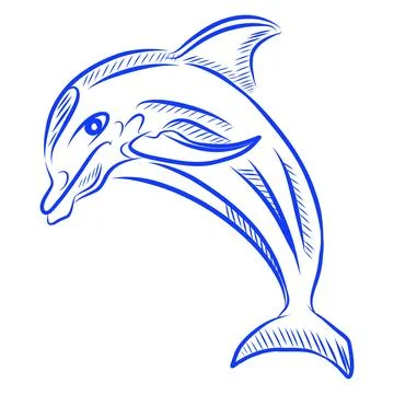 Vector hand drawn sketch of a dolphin, sea creature, blue line art Illustrazione stock