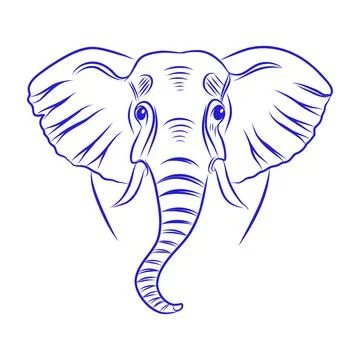 Vector hand drawn sketch of elephant, blue line art Stockillustratie