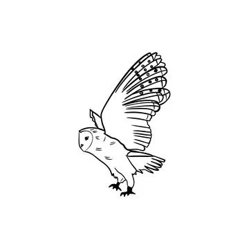Vector hand drawn sketch of an owl taking off, doodle style with black lines Stock Illustration