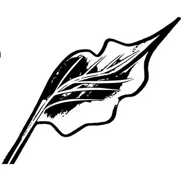 Vector hand drawn sketch of a petal, doodle style, black lines Stock Illustration