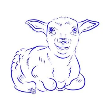 Vector hand-drawn sketch of a sheep with blue lines Stock Illustration