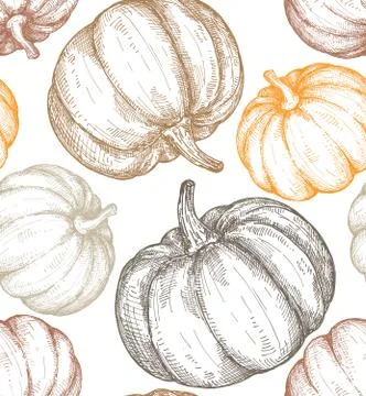 Vector hand drawn sketched pumpkin seamless pattern Stock Illustration