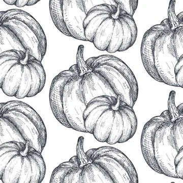 Vector hand drawn sketched pumpkin seamless pattern Stock Illustration