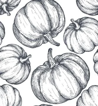 Vector hand drawn sketched pumpkin seamless pattern Stock Illustration