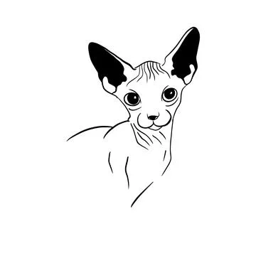 Vector hand drawn sphinx cat Stock Illustration