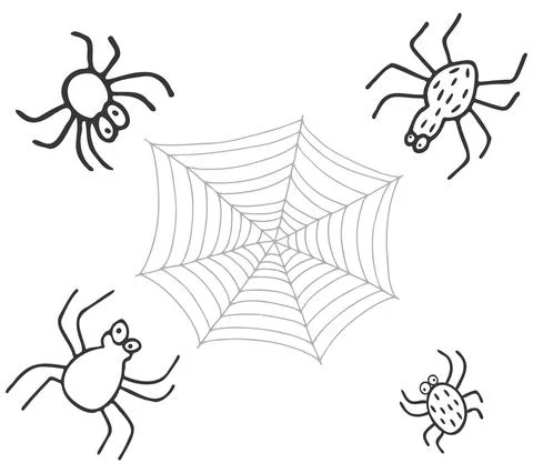 Vector hand drawn spiders and spiderweb on white background. Doodle illustrat Stock Illustration
