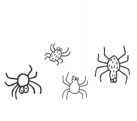 Vector hand drawn spiders and spiderweb on white background. Doodle illustrat Stock Illustration