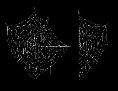 Vector hand drawn spiderweb, white spooky cobweb Illustrazione stock