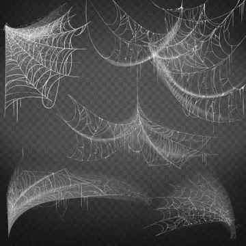 Vector hand drawn spiderweb, white spooky cobweb Stock Illustration