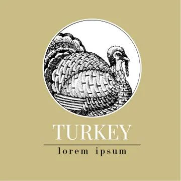 Vector hand drawn turkey illustration. Retro engraving style. Sketch farm animal Stock Illustration