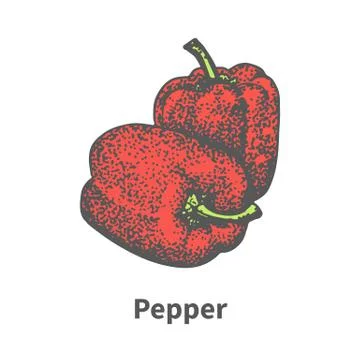 Vector hand-drawn two ripened red Bulgarian pepper Illustrazione stock