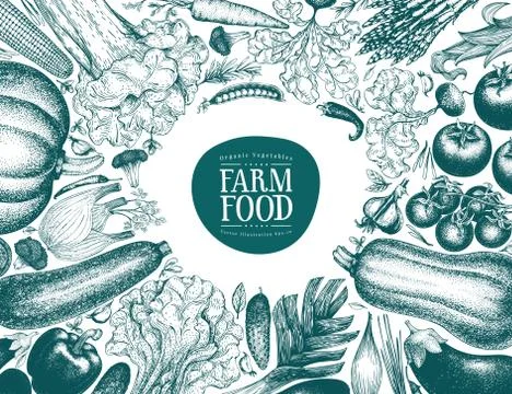 Vector hand drawn vegetables frame. Vintage style banner template. Vintage Stock Illustration