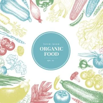 Vector hand drawn vegetables Illustration. Vintage style banner template. Retro Stock Illustration