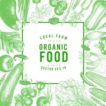 Vector hand drawn vegetables Illustration. Vintage style banner template. Retro Stock Illustration