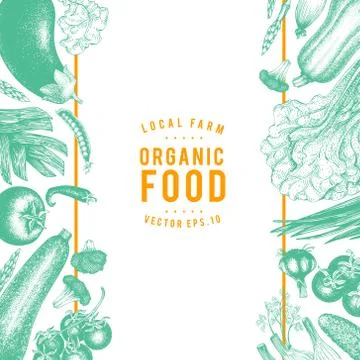Vector hand drawn vegetables Illustration. Vintage style banner template. Retro Stock Illustration