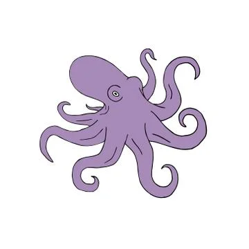 Vector hand drawn violet colored octopus Stock Illustration