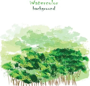 Vector hand drawn watercolor background for you design. Stock Illustration