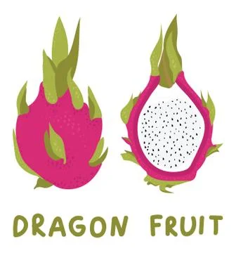 Vector hand drawn whole dragon fruit and half. Tropical summer fruit. Stock Illustration