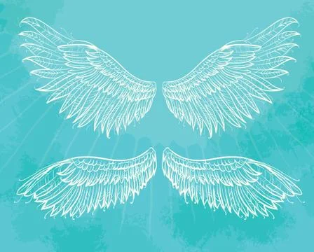 Vector hand drawn wings Stock Illustration