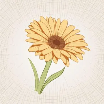 Vector hand drawn yellow flower. Stock Illustration