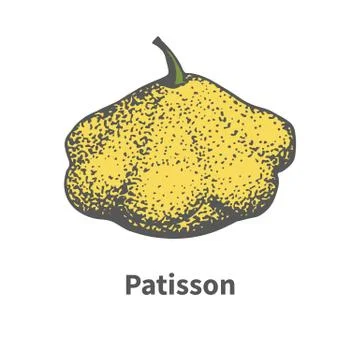 Vector hand-drawn yellow ripe large squash Illustrazione stock
