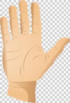 Vector hand illustration is showing palm up with flat shading, palm lines on イラスト素材