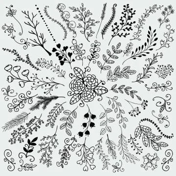 Vector Hand Sketched Rustic Floral Doodle Branches Stock Illustration