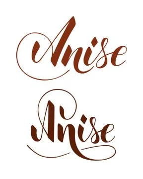 Vector hand written anise text isolated on white background Stockillustratie