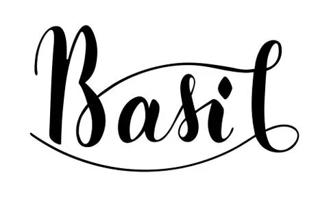 Vector hand written basil text isolated on white background 스톡 일러스트