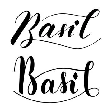 Vector hand written basil text isolated on white background Stock Illustration