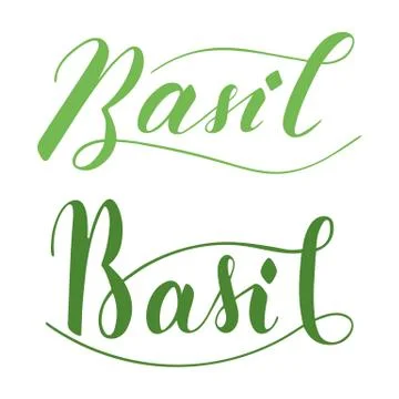 Vector hand written basil text isolated on white background Stock Illustration