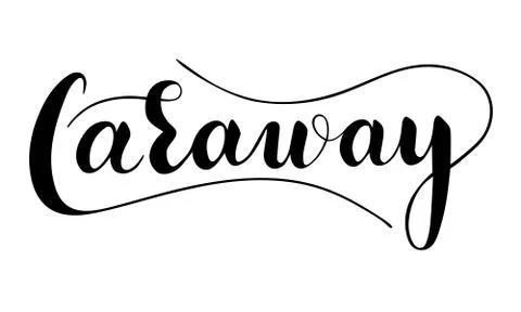 Vector hand written caraway text isolated on white background Stock Illustration