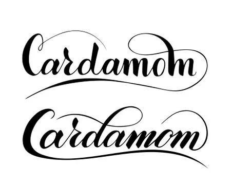 Vector hand written cardamom text isolated on white background Illustrazione stock