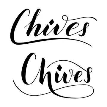 Vector hand written chives text isolated on white background Stock Illustration