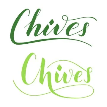 Vector hand written chives text isolated on white background Stockillustratie