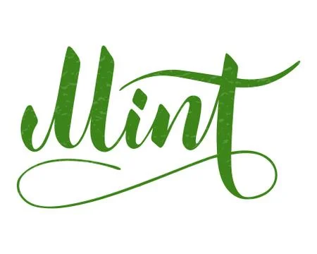 Vector hand written mint text isolated on white background Stock Illustration