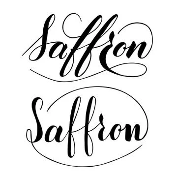 Vector hand written saffron text isolated on white background Illustrazione stock