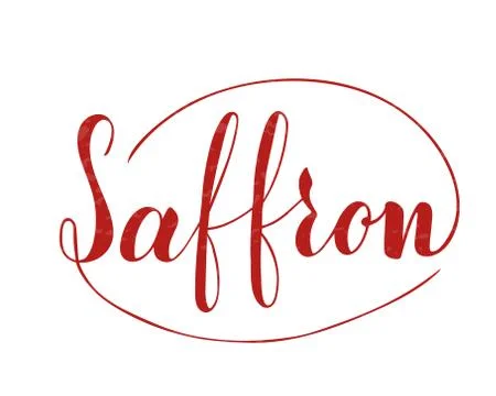 Vector hand written saffron text isolated on white background Illustrazione stock