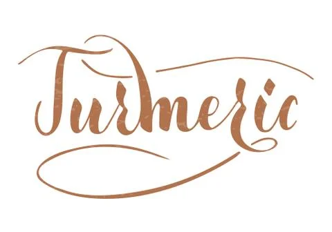 Vector hand written turmeric text isolated on white background Stock Illustration