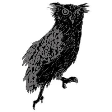 Vector handpicked hand-drawn ilustration with Owl Stock Illustration